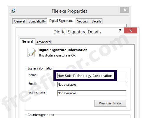 Screenshot of the NewSoft Technology Corporation certificate